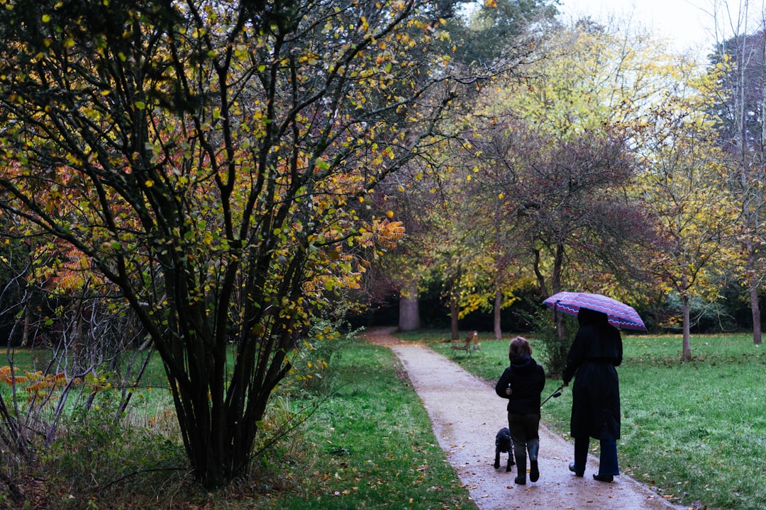Two people walk a dog on a rainy day path.
